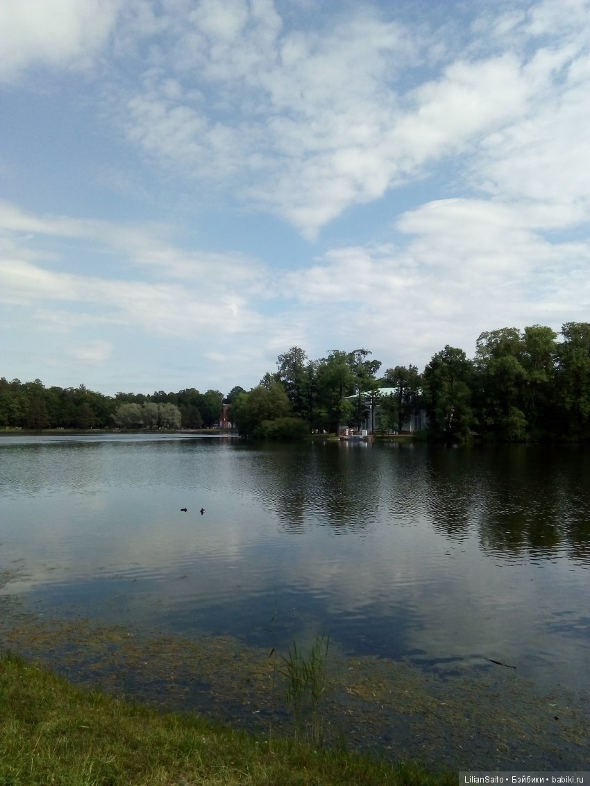 Отечество нам Царское Село (фото 2)