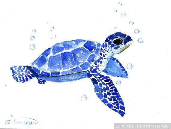 Сказка для черепашек — Болталка и разговоры обо всем: жизнь (фото 2)