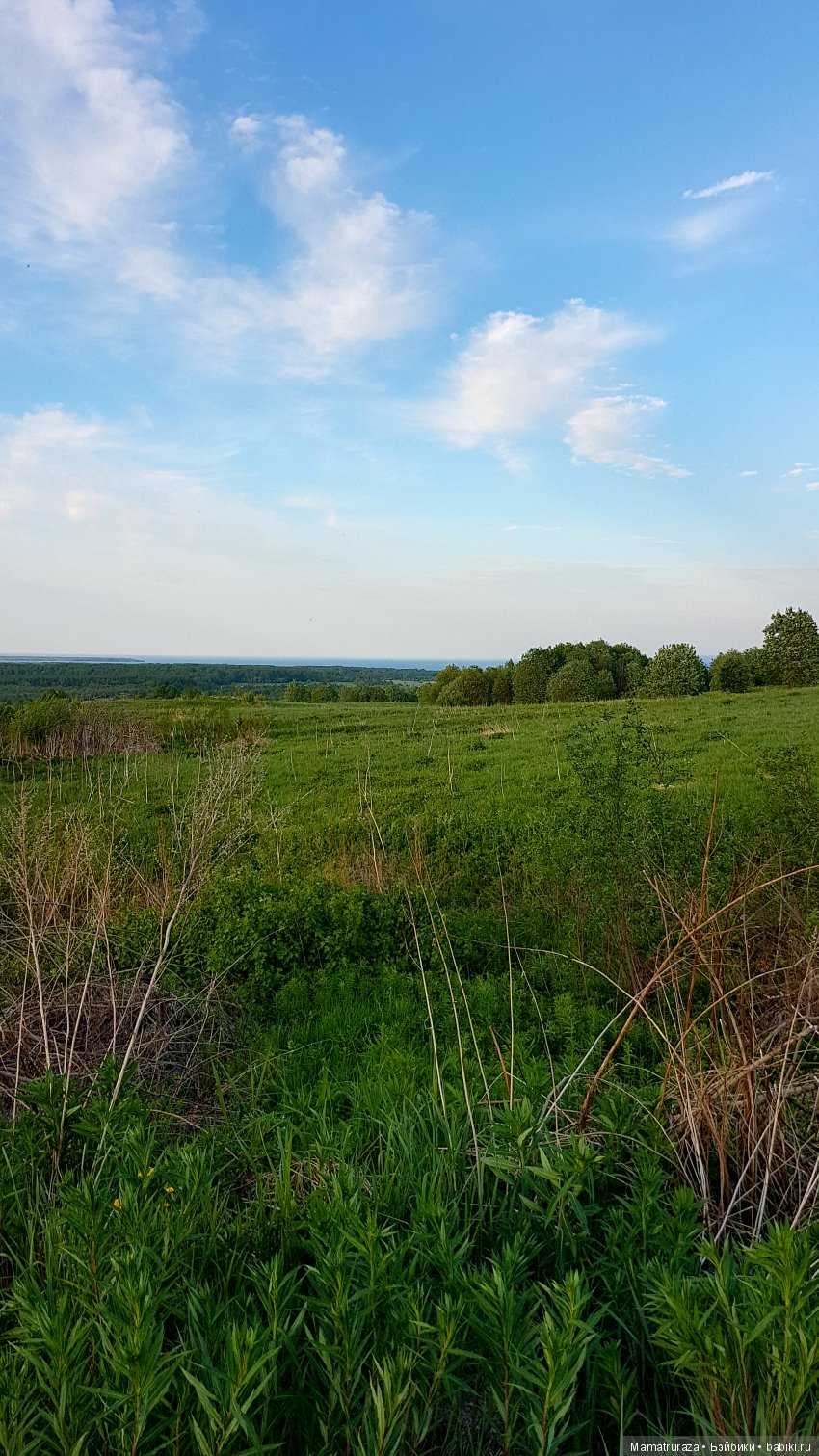 Родные просторы — Фэшн