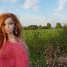 Родные просторы