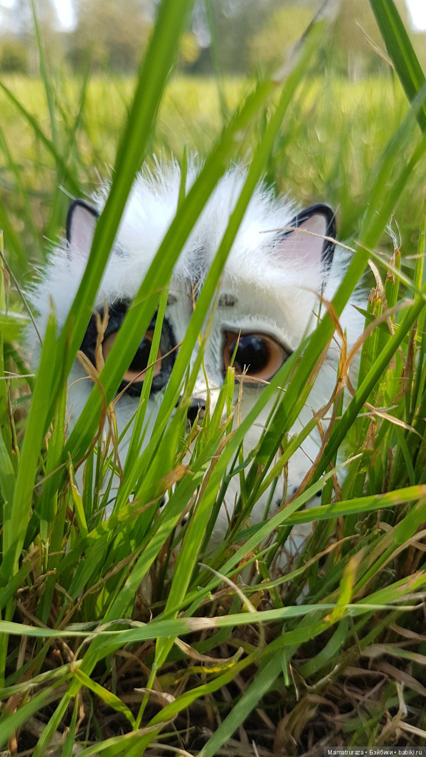 Пушистый приз для Вице Мисс (фото 2)