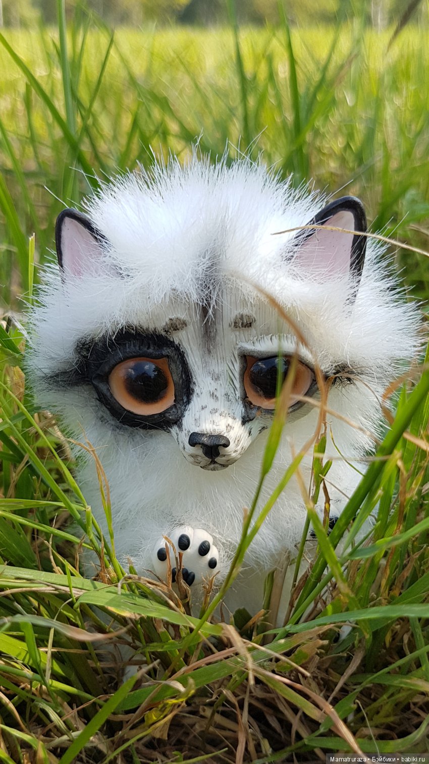 Пушистый приз для Вице Мисс (фото 3)