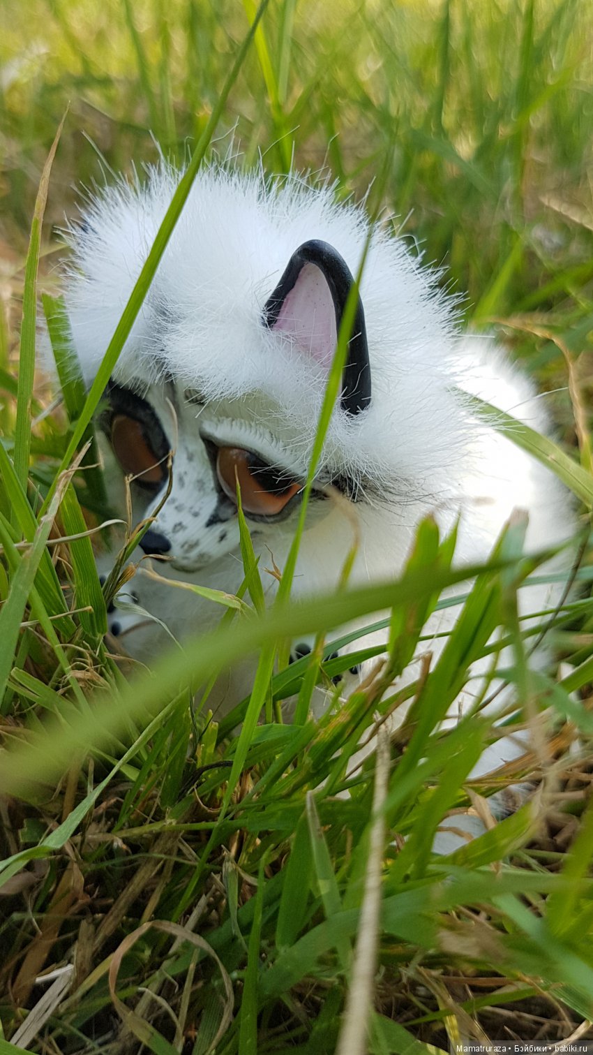 Пушистый приз для Вице Мисс (фото 4)