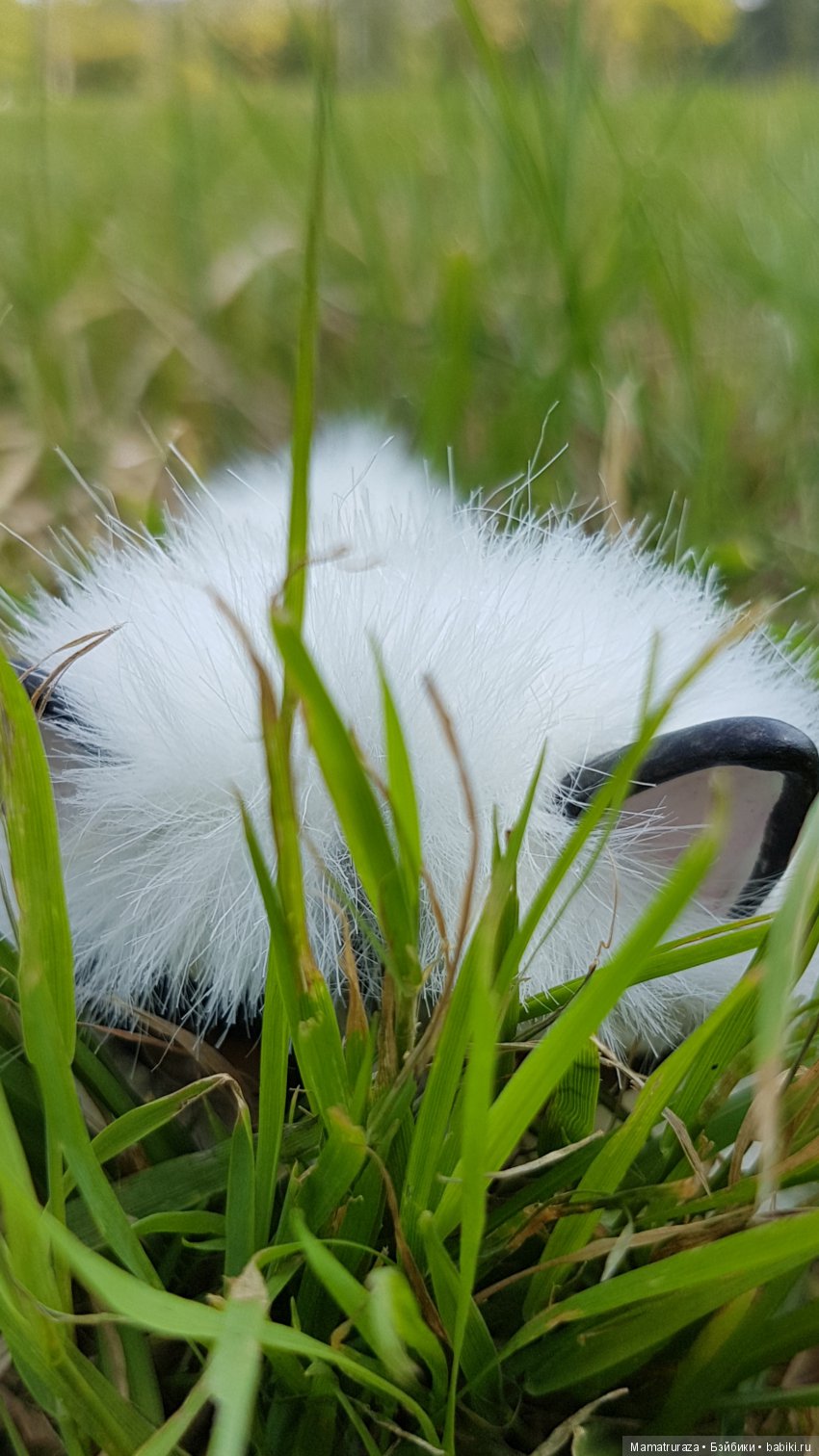 Пушистый приз для Вице Мисс