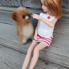 Человек собаке друг