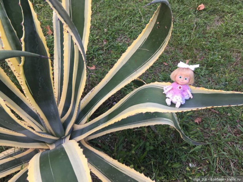 Отпуск с Машкой в кармашке (фото 7)