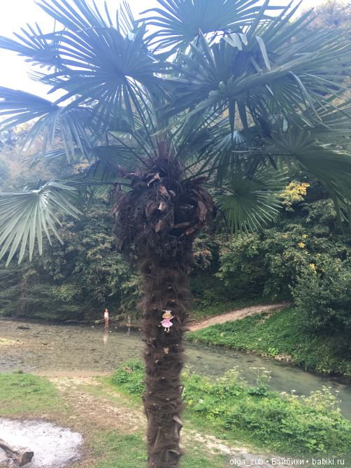 Отпуск с Машкой в кармашке (фото 6)