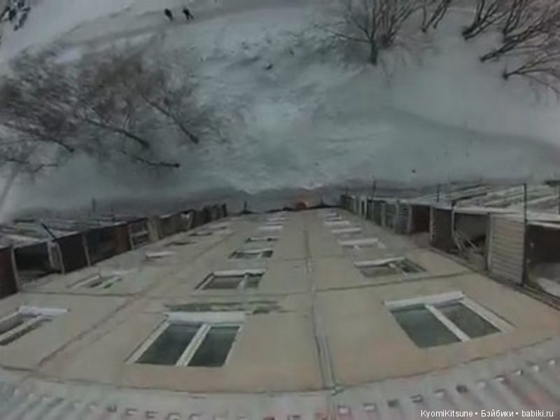 S.Y.I.T.F. часть 5. Шпиёнка (фото 10)