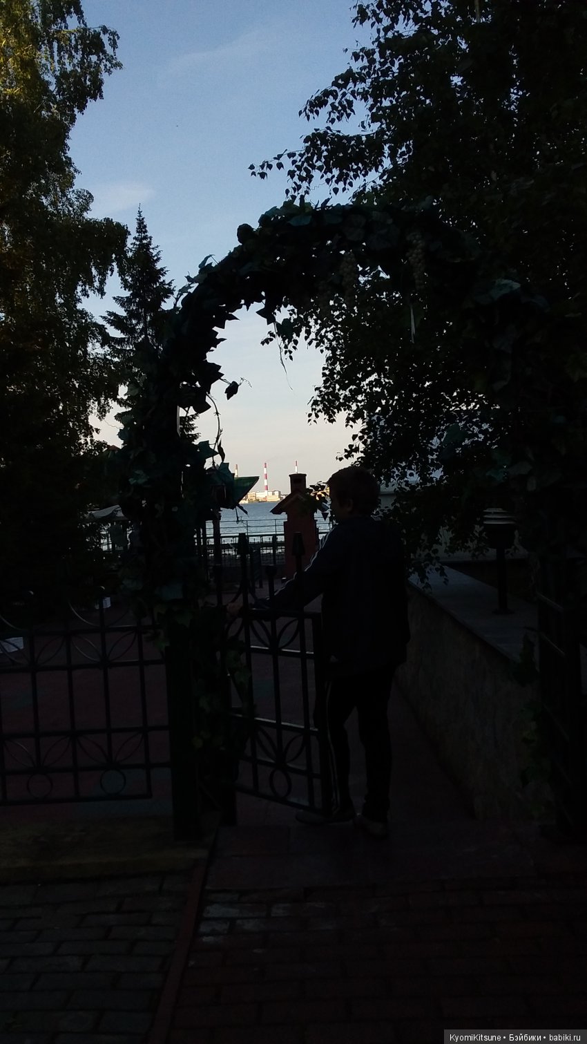 Путешествия продолжаются — Куклы и тела Obitsu (Обитсу): 1/6