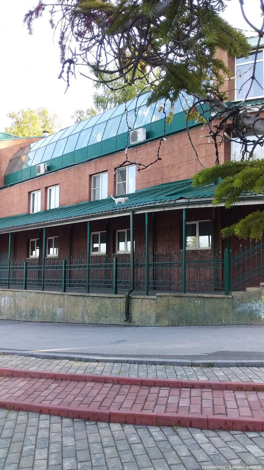 Путешествия продолжаются — Куклы и тела Obitsu (Обитсу): 1/6 (фото 5)