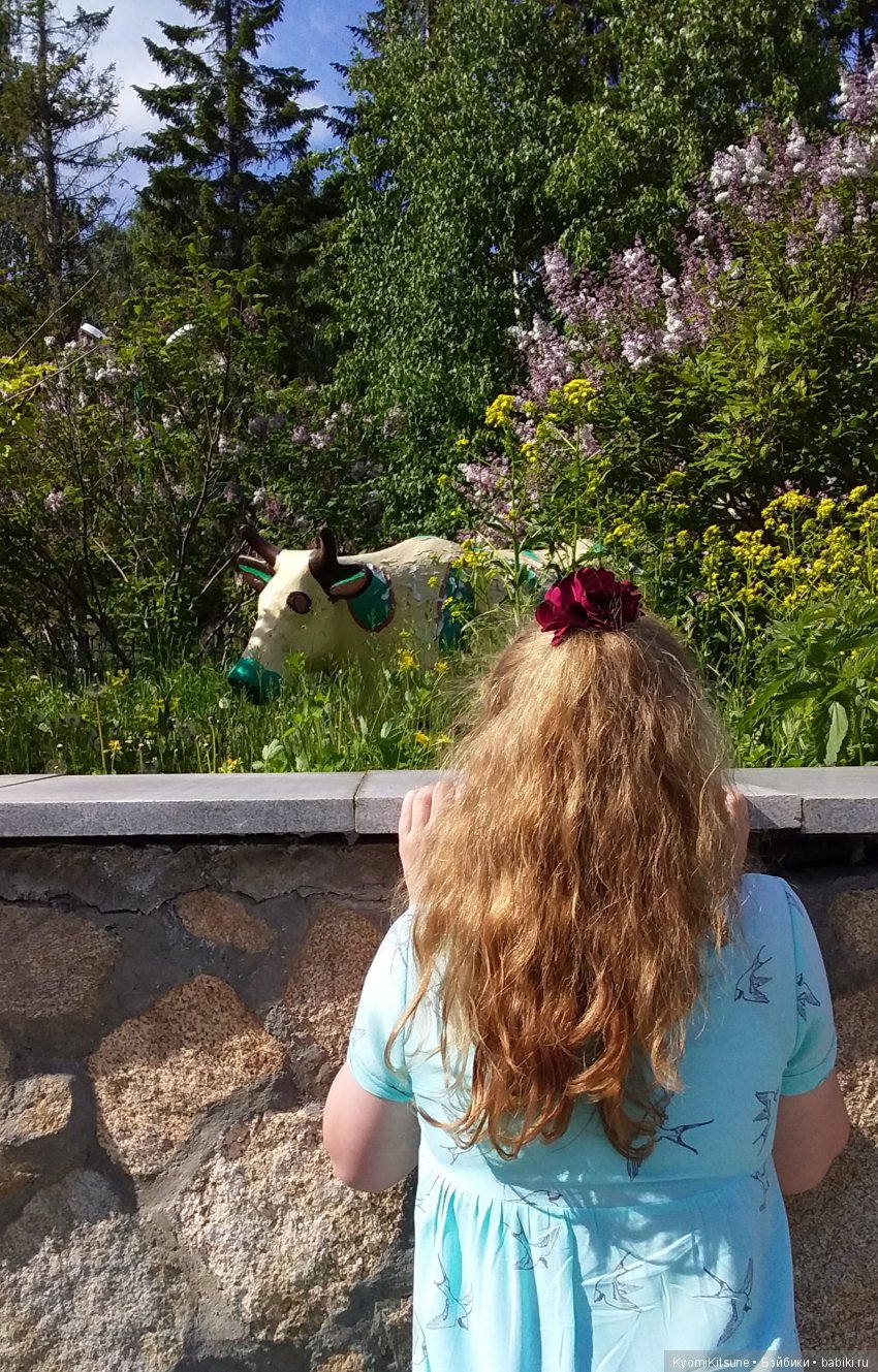 Путешествия продолжаются — Куклы и тела Obitsu (Обитсу): 1/6