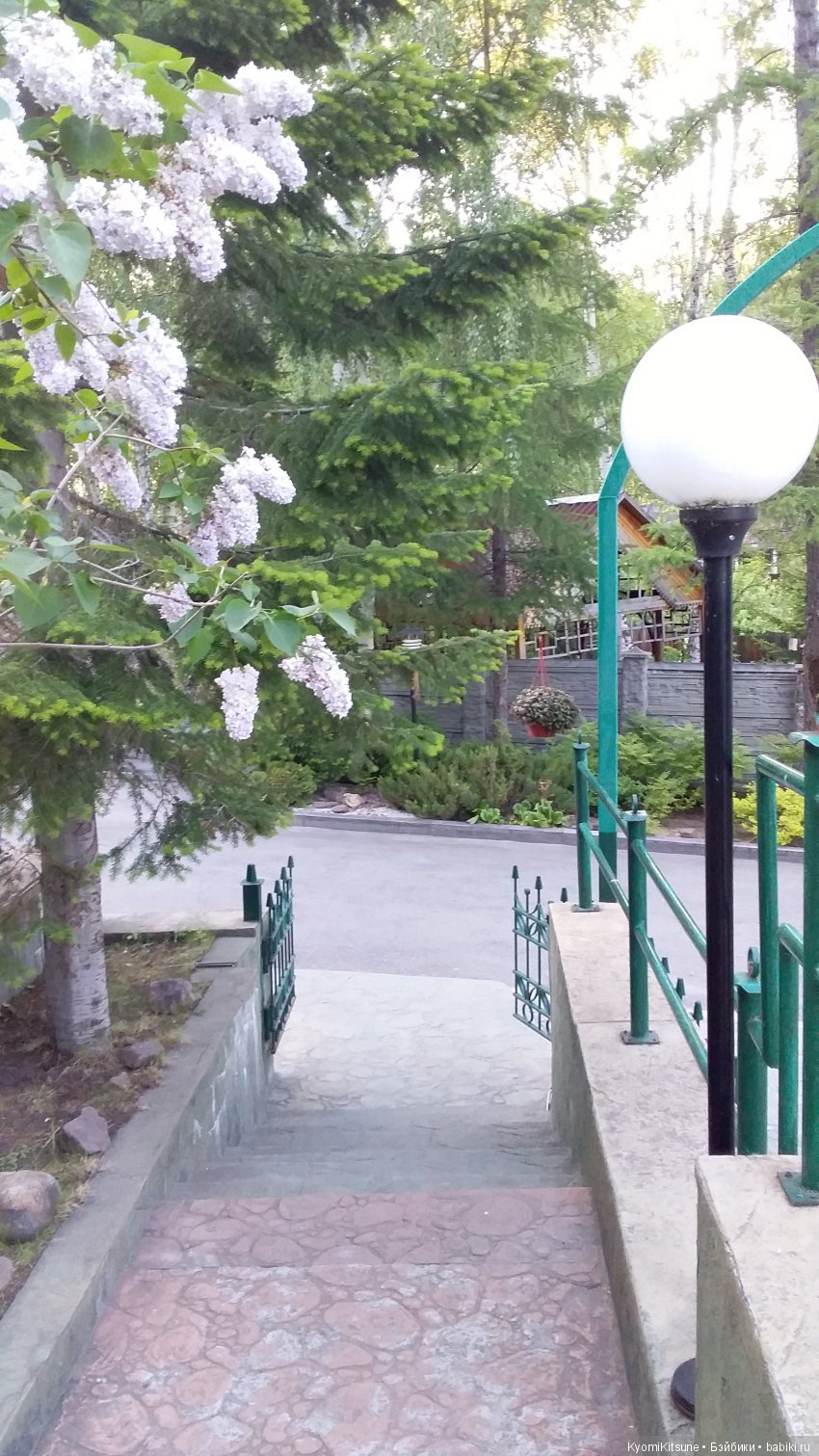 Путешествия продолжаются — Куклы и тела Obitsu (Обитсу): 1/6 (фото 6)