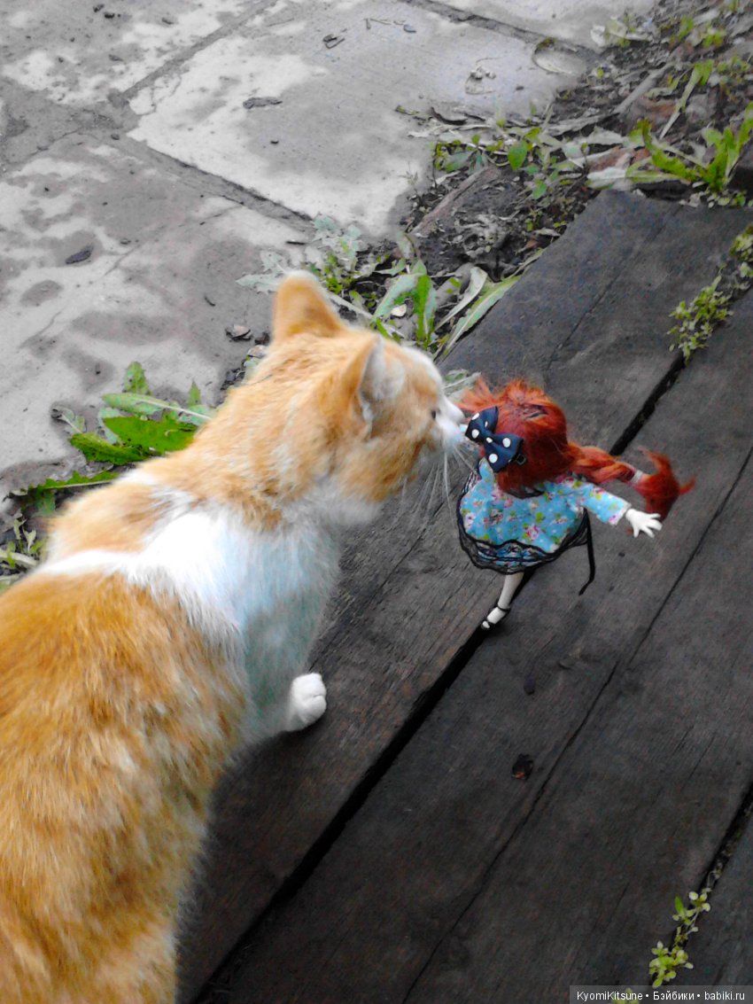 Презентация Мисс Бейбики 2019 (фото 2)