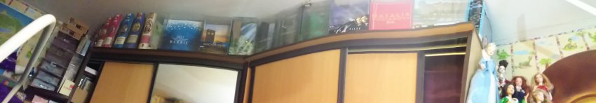 Полки, часть вторая | Бэйбики Полки, часть вторая — Домашние коллекции кукол: фото собраний (фото 3)