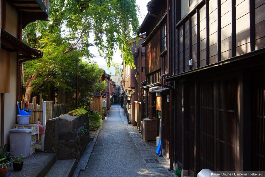 See you in the fall, часть 9. След (фото 7)