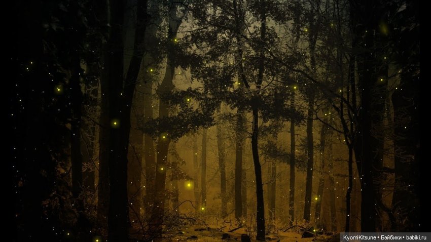 Блестяшка, сэр! (Приглашение) | Бэйбики Блестяшка, сэр! (Приглашение)