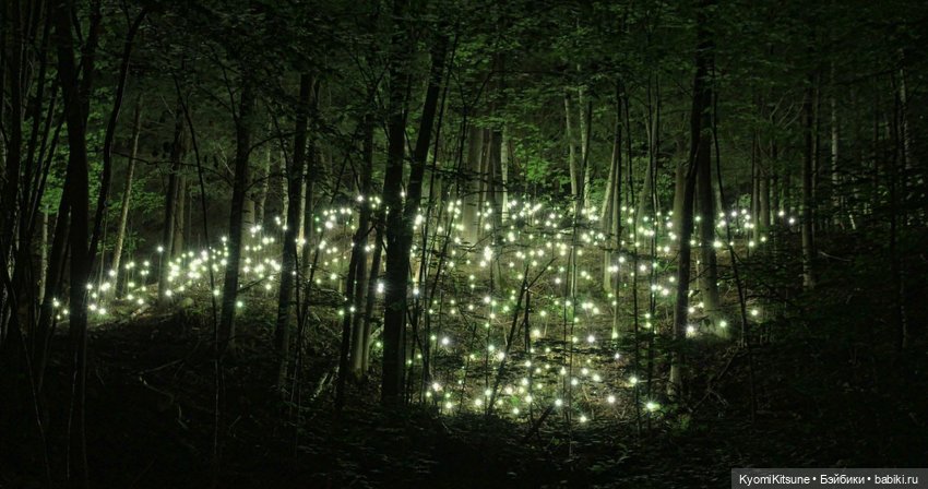 Блестяшка, сэр! (Приглашение) | Бэйбики Блестяшка, сэр! (Приглашение)