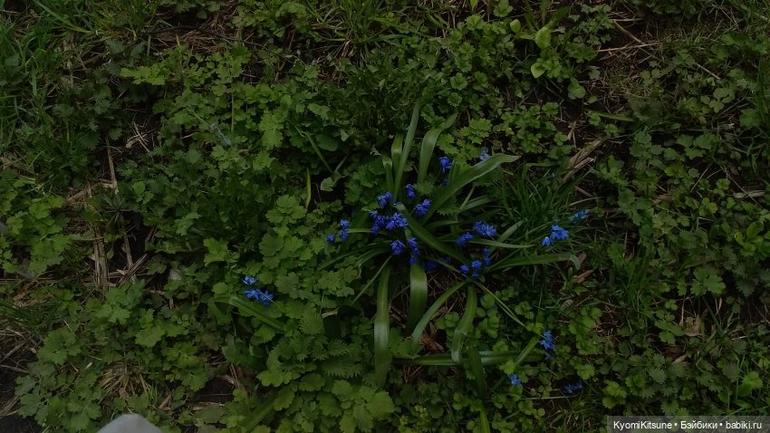 Блестяшка, сэр! (Приглашение)