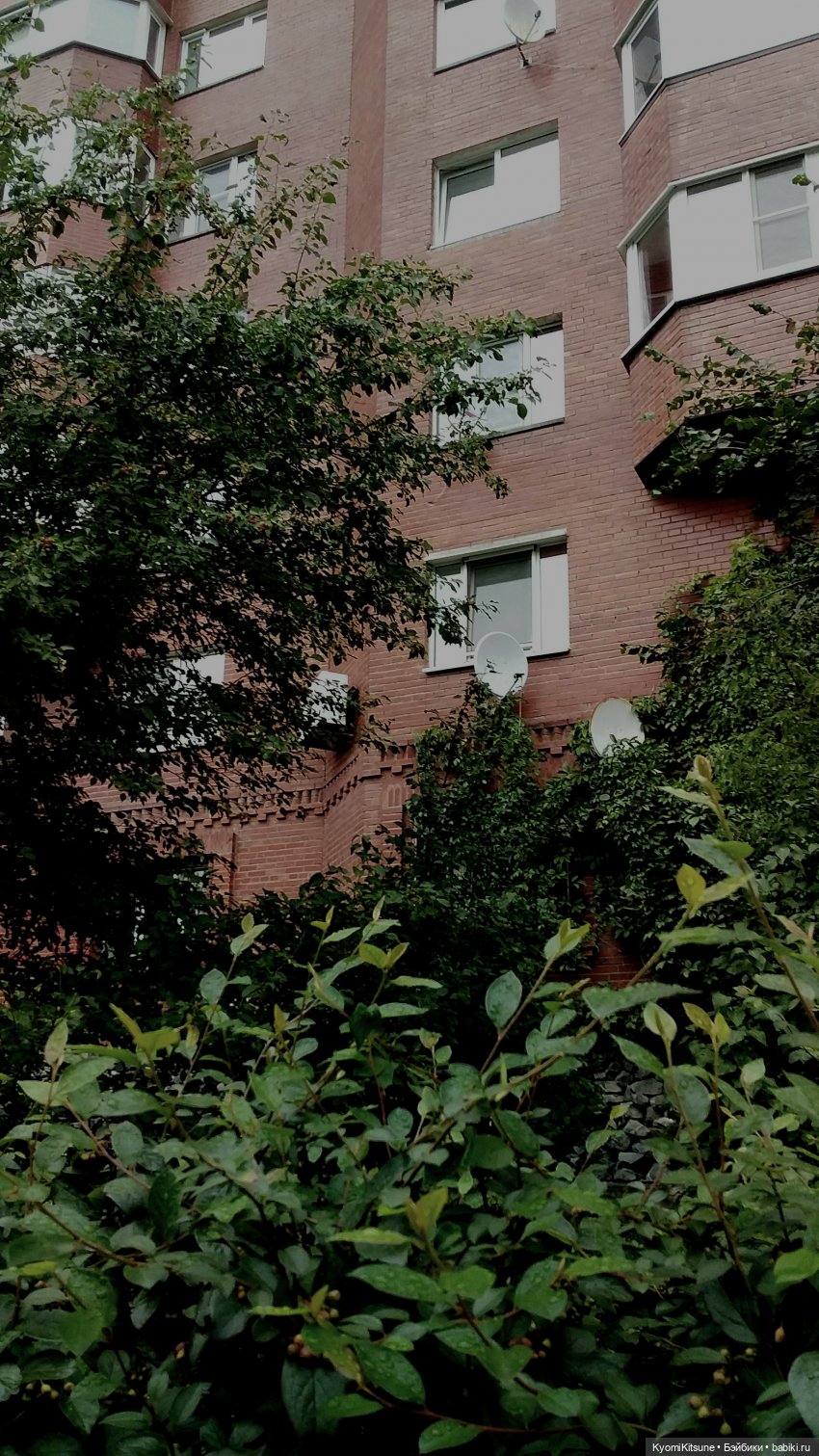 Эдик в тумане — Коллекционные экшн