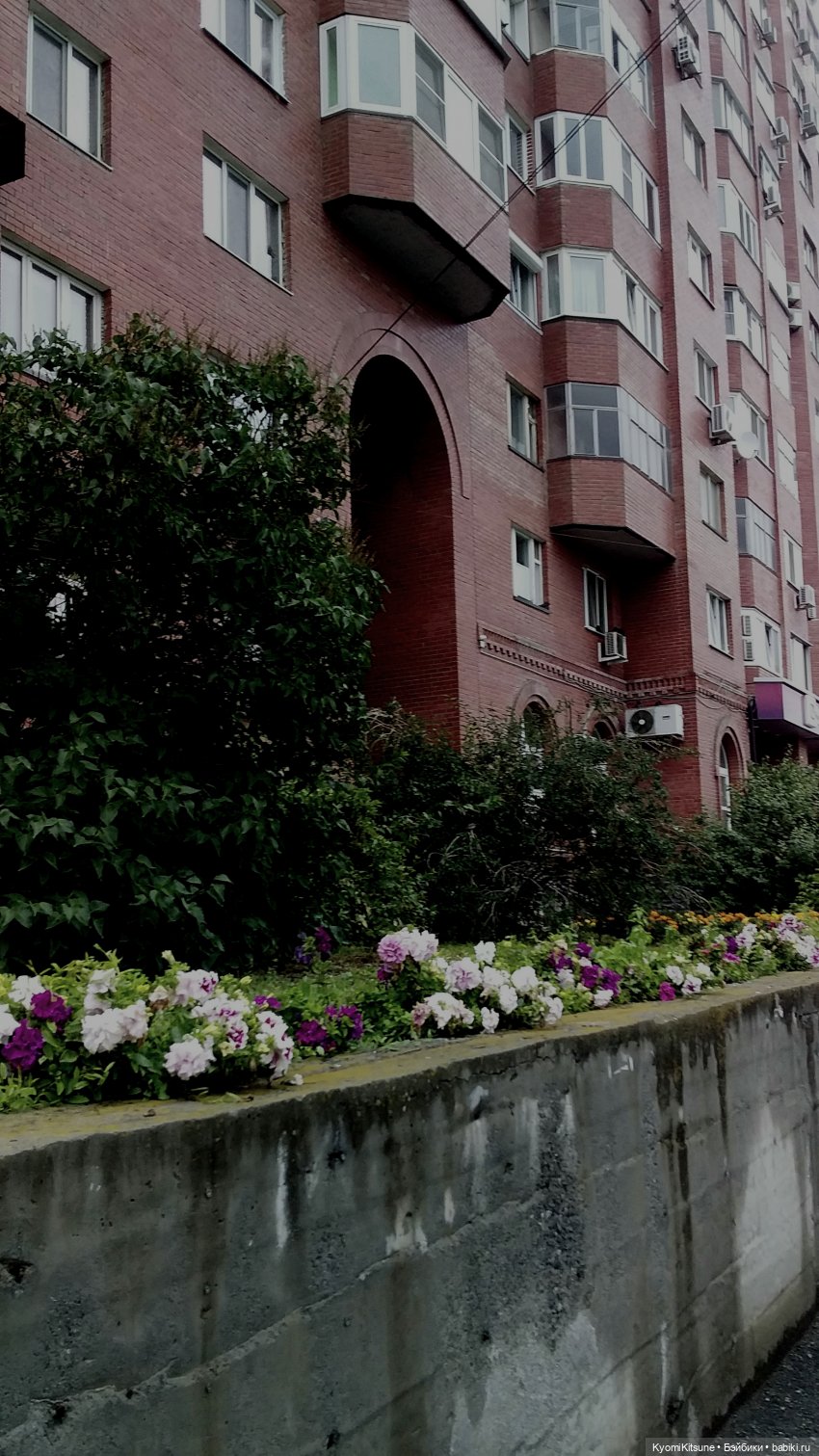 Эдик в тумане — Коллекционные экшн