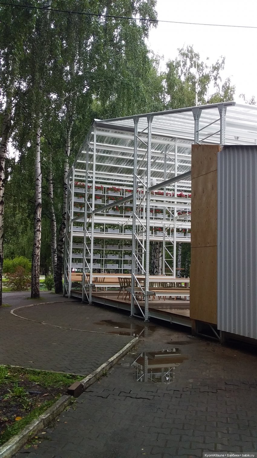 Эдик в тумане — Коллекционные экшн (фото 6)