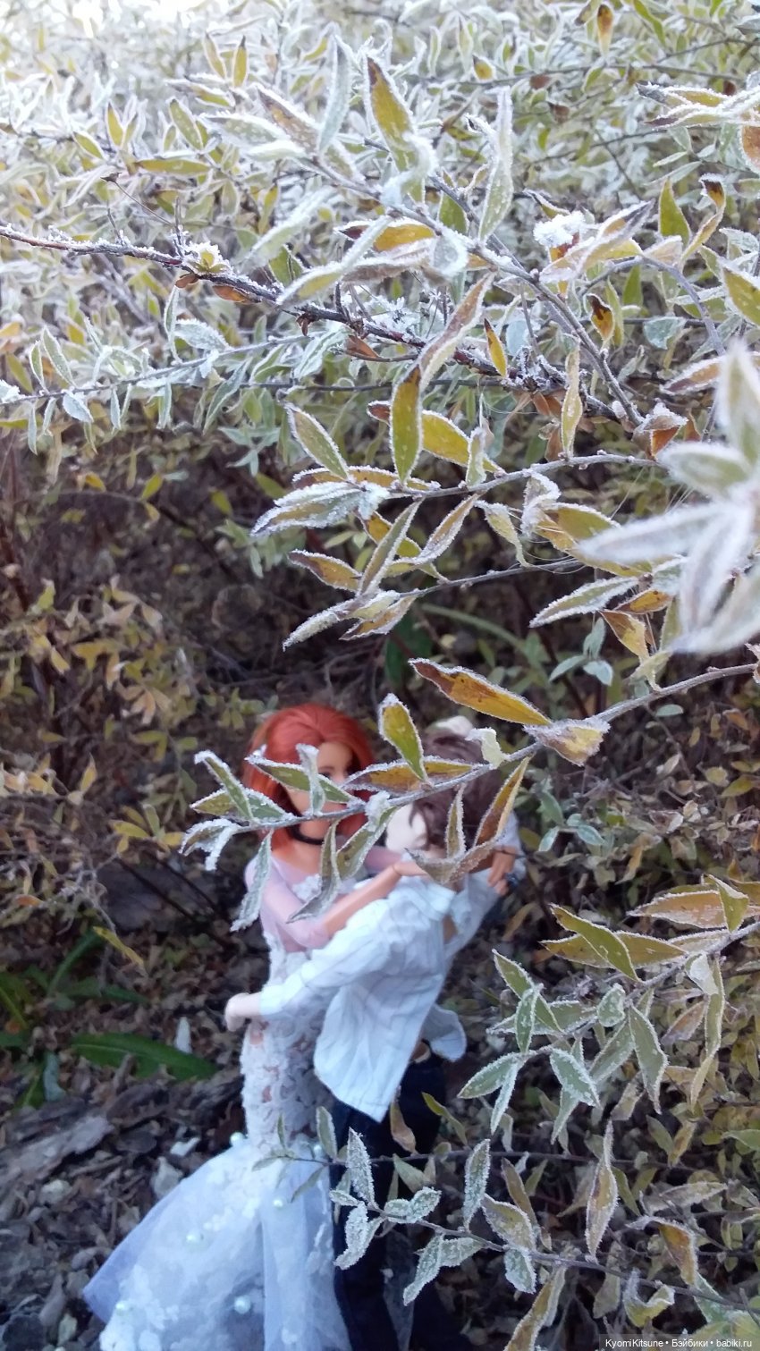 Утро новобракованных. "Блестяшка, сэр!" #3