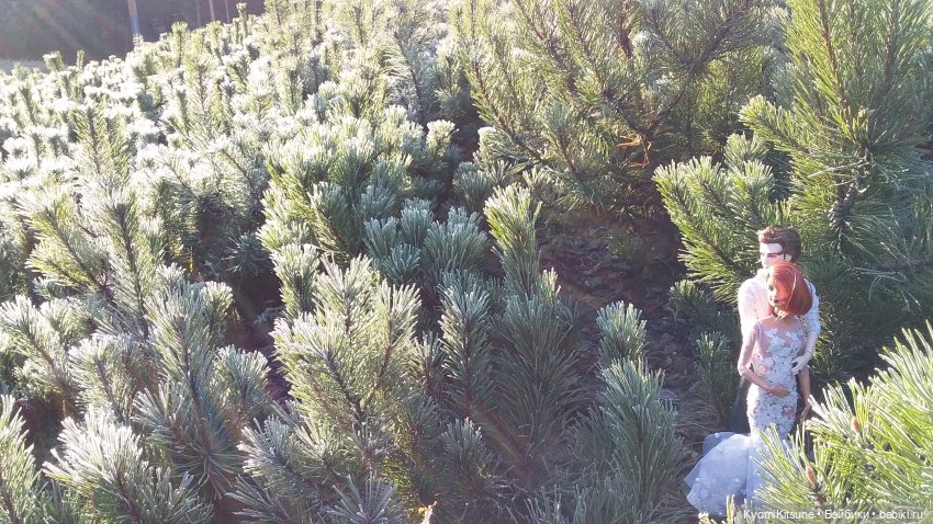 Утро новобракованных. "Блестяшка, сэр!" #3