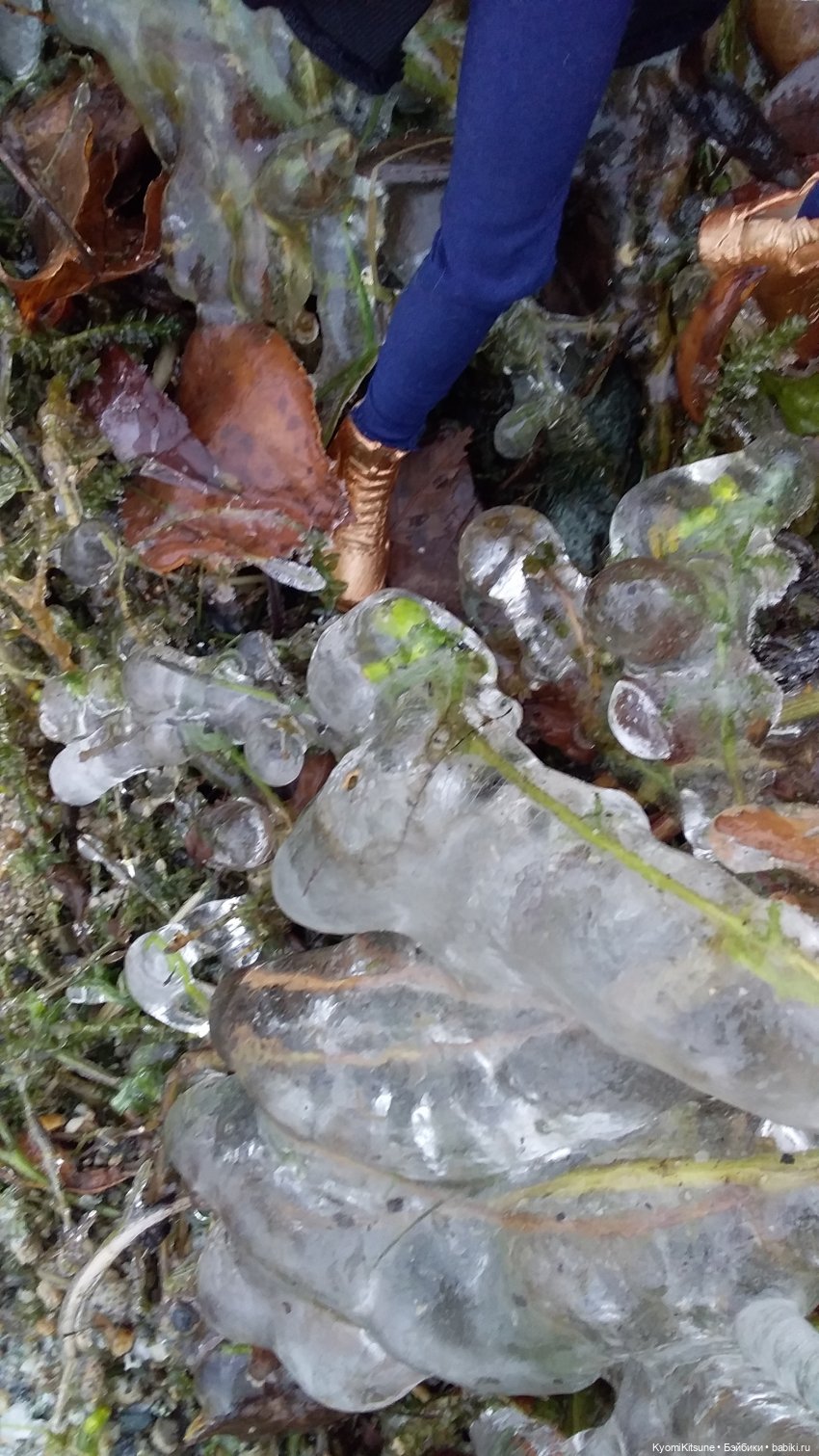 Посланница. (SYITF #14) — Кукольные фотоистории и сериалы: комиксы