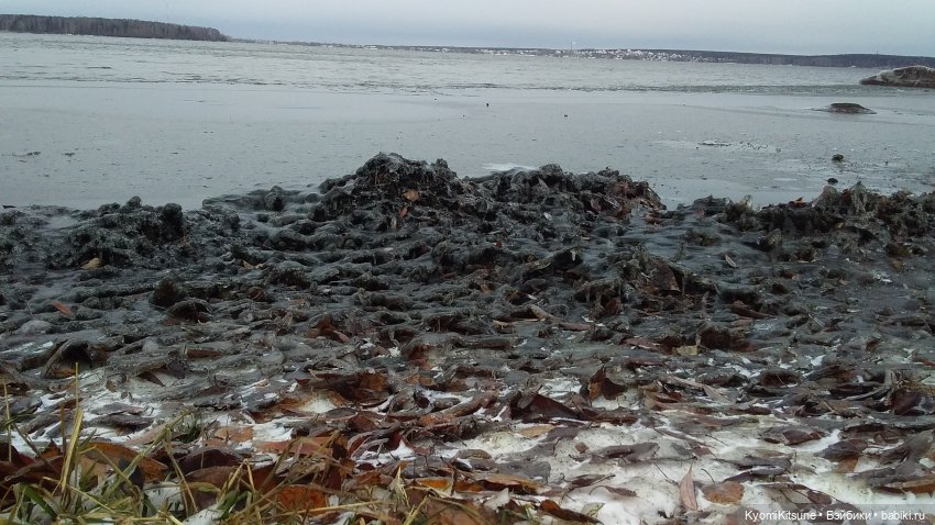 Посланница. (SYITF #14) — Кукольные фотоистории и сериалы: комиксы (фото 10)