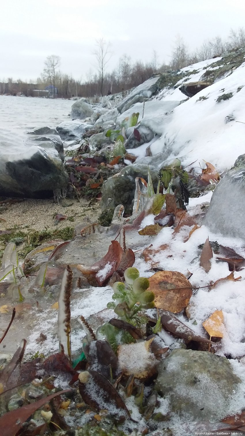 Посланница. (SYITF #14) — Кукольные фотоистории и сериалы: комиксы (фото 9)