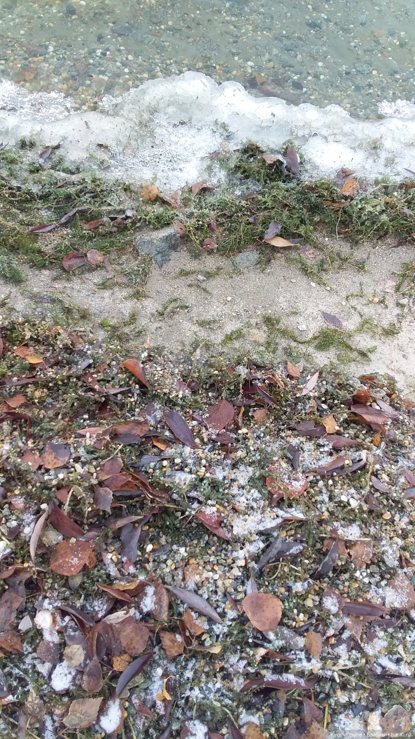 Посланница. (SYITF #14) — Кукольные фотоистории и сериалы: комиксы