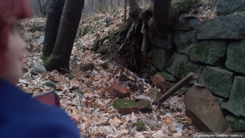 Посланница. (SYITF #14) — Кукольные фотоистории и сериалы: комиксы