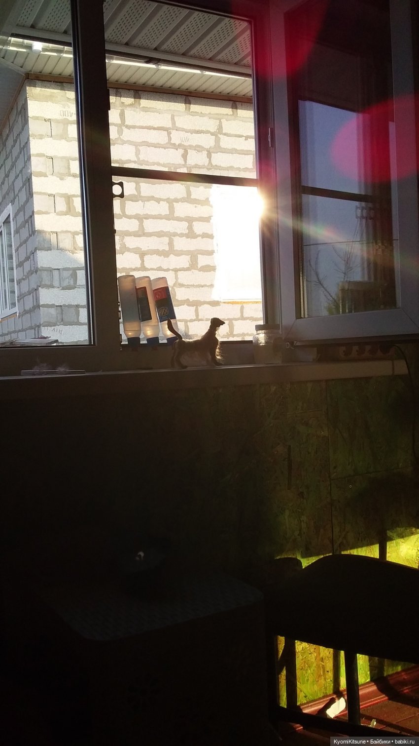 Болталка и разговоры обо всем: жизнь