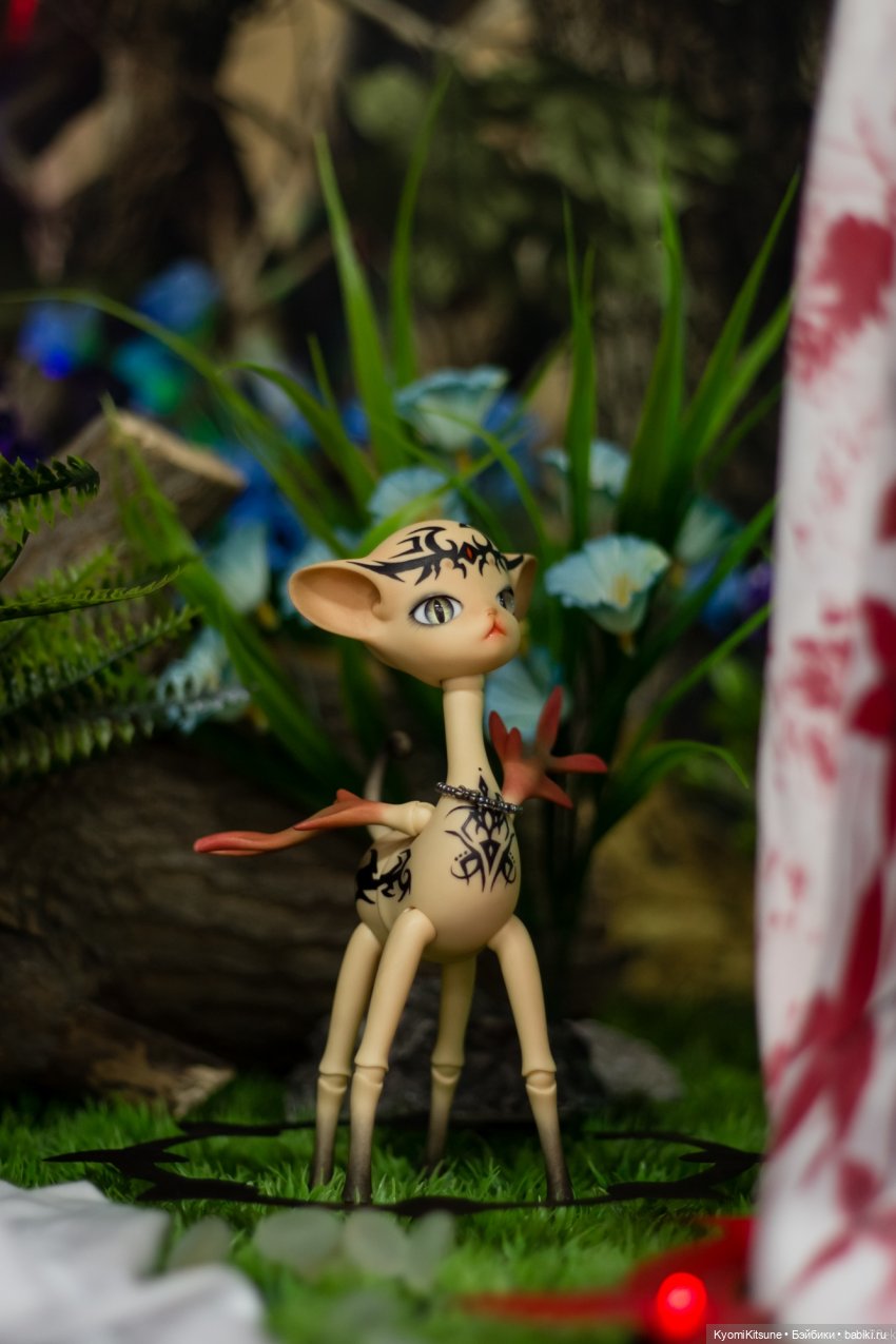 Вяшка 2021 часть 2. Фотоэскурсия