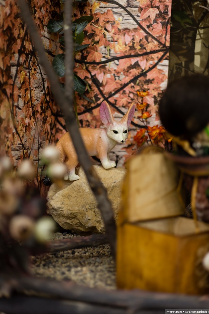 Вяшка 2021 часть 2. Фотоэскурсия