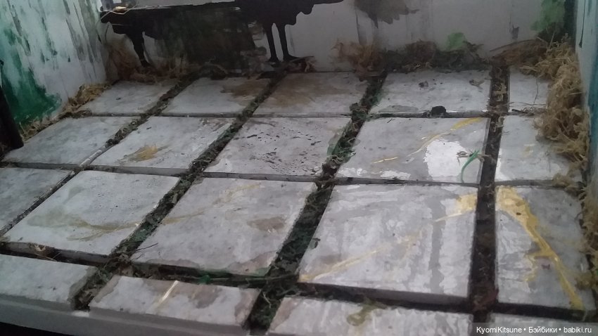 Таинственный сад — Румбоксы и кукольная миниатюра: фото (фото 8)