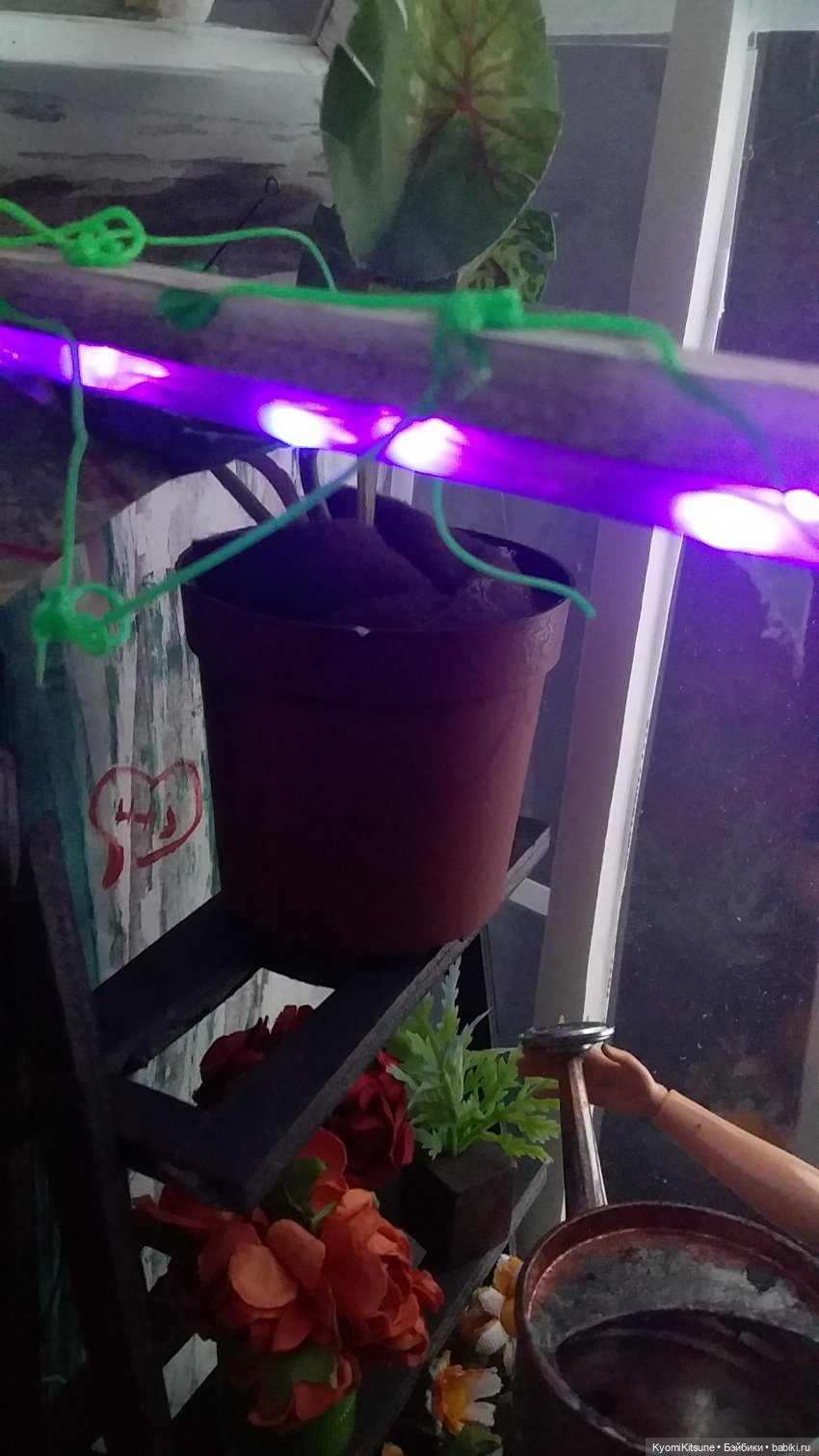 Таинственный сад — Румбоксы и кукольная миниатюра: фото