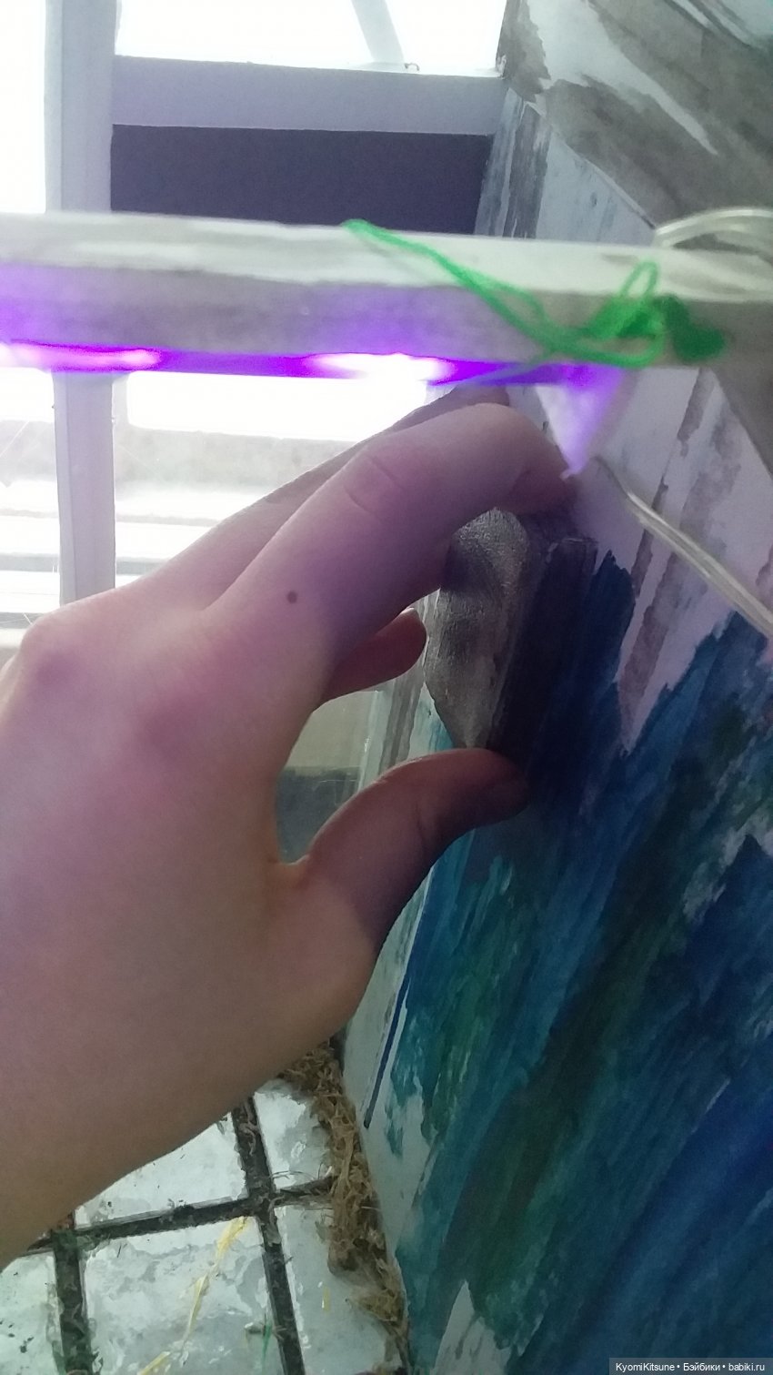 Таинственный сад — Румбоксы и кукольная миниатюра: фото (фото 9)