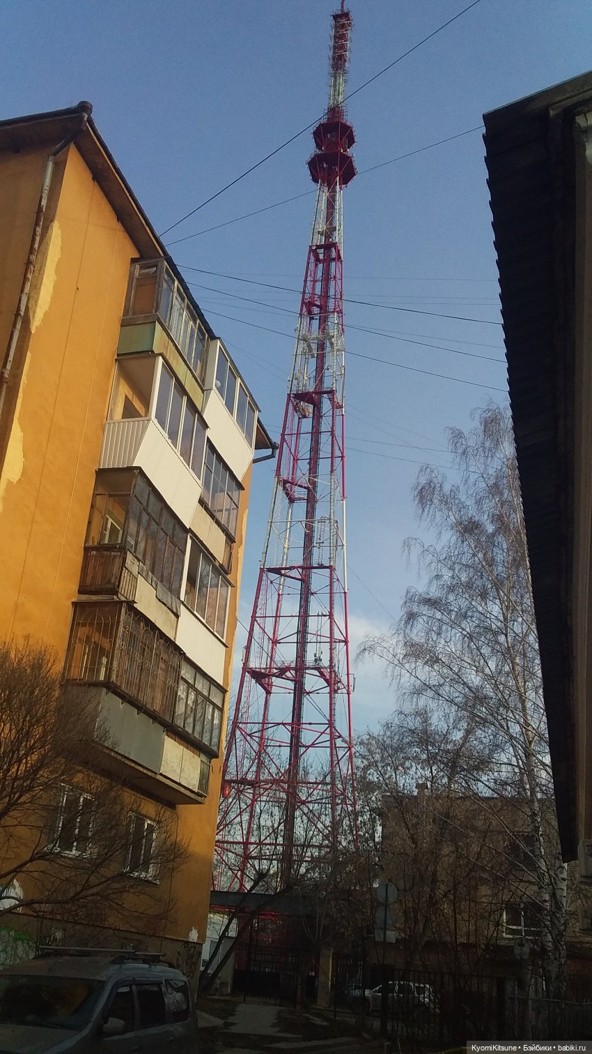 Восточный ветер | Бэйбики Восточный ветер — Куклы и тела Obitsu (Обитсу): 1/6 (фото 2)