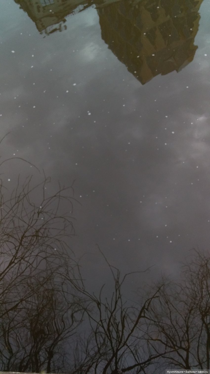 Восточный ветер | Бэйбики Восточный ветер — Куклы и тела Obitsu (Обитсу): 1/6 (фото 7)