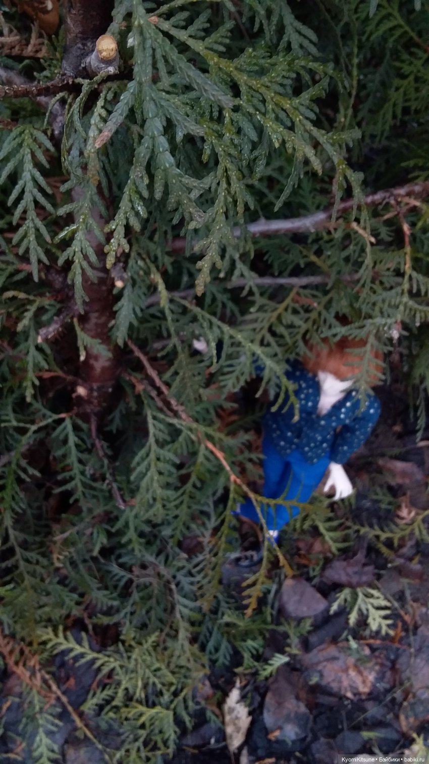 Восточный ветер | Бэйбики Восточный ветер — Куклы и тела Obitsu (Обитсу): 1/6 (фото 8)