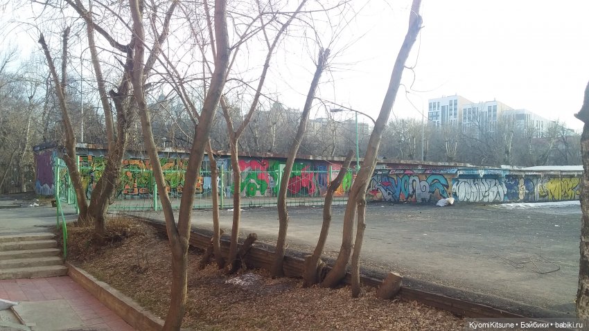 Восточный ветер | Бэйбики Восточный ветер — Куклы и тела Obitsu (Обитсу): 1/6 (фото 3)