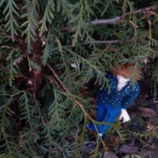 Восточный ветер