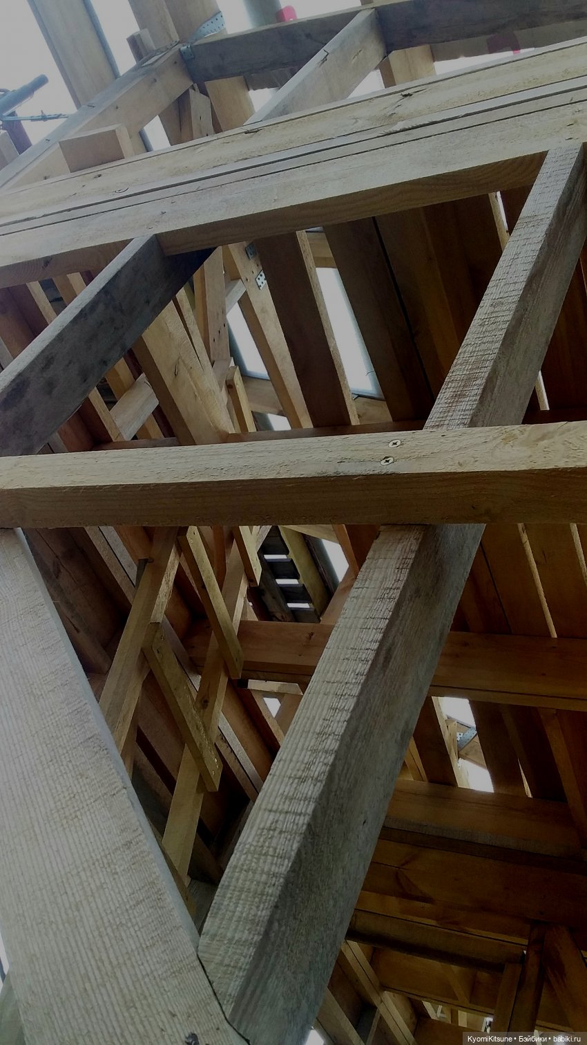 Выход из тени. Алекс и Люшус