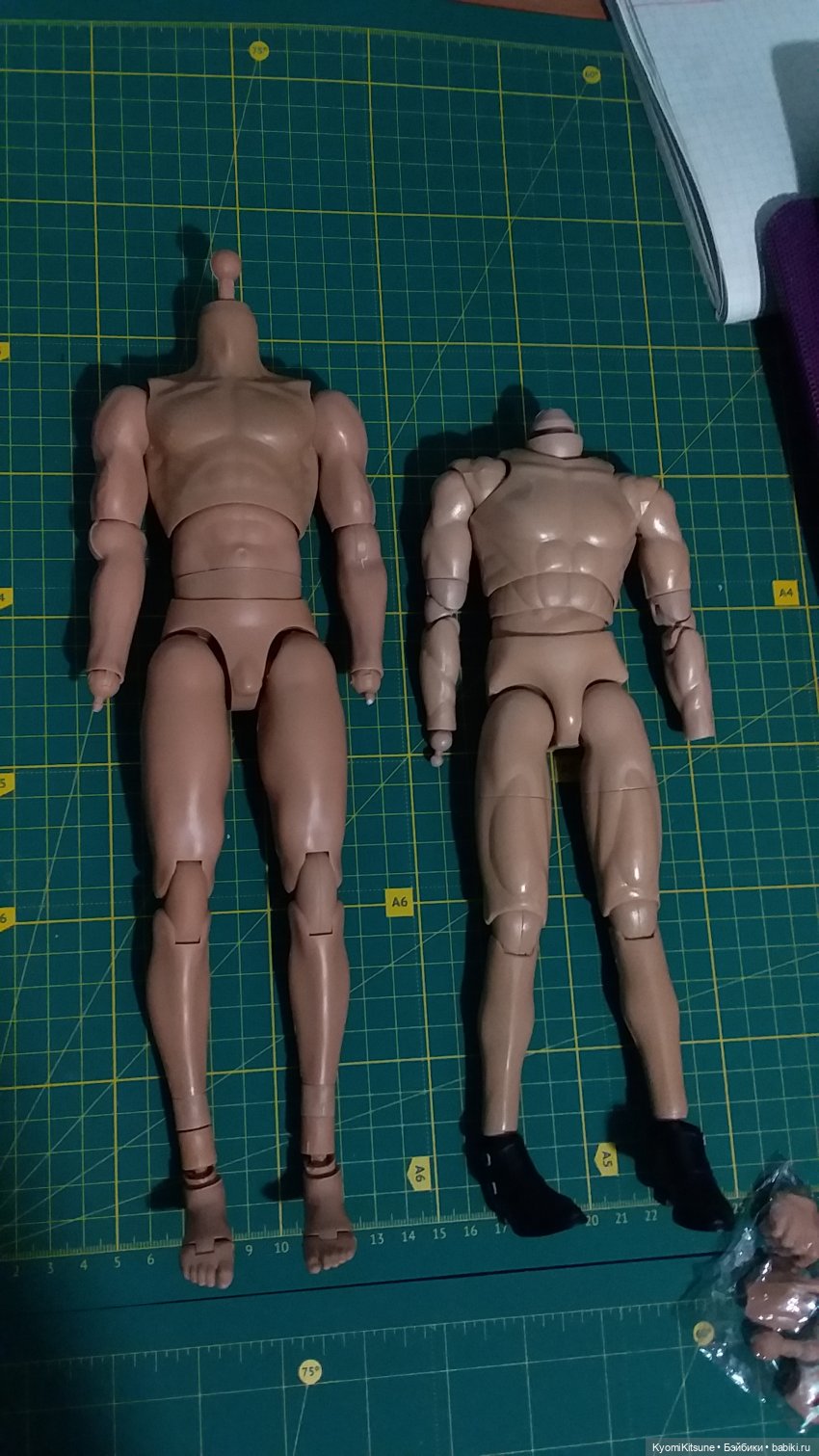 Тело Coomodel BD004 — Экшн