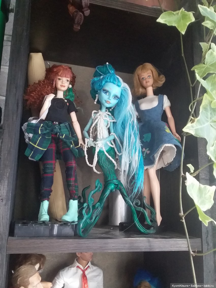 Куклополки 2022 и другие емкости (фото 4)