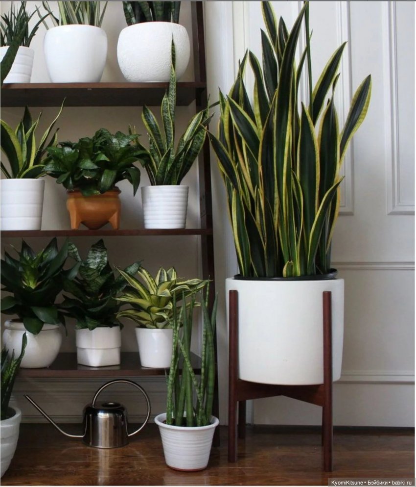 Цветок в горшочке — Создание миниатюры: МК