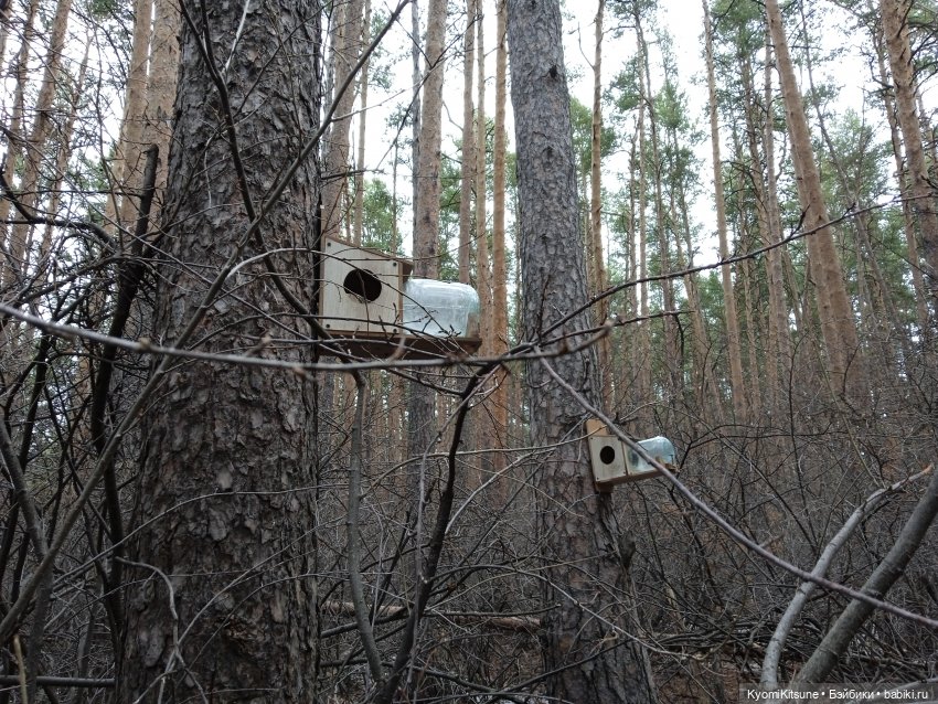 Spock to Enterprise — Коллекционные экшн