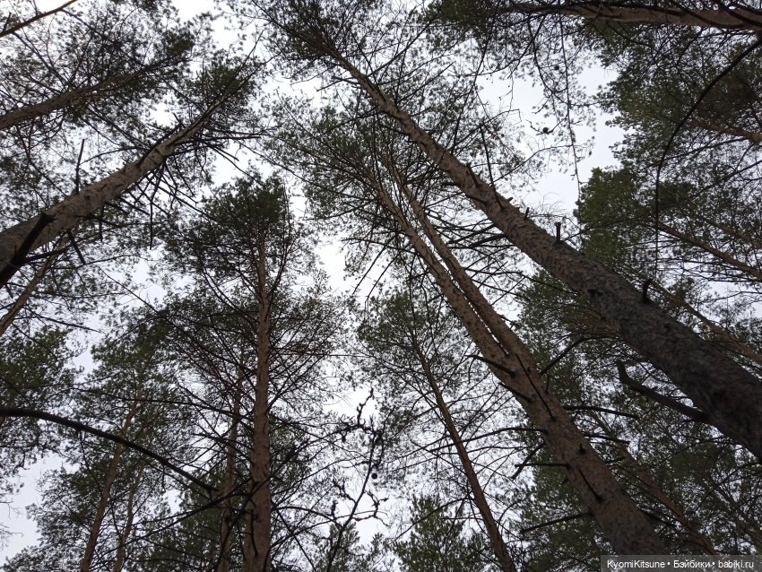 Spock to Enterprise — Коллекционные экшн