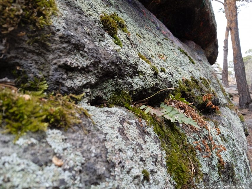 Spock to Enterprise — Коллекционные экшн